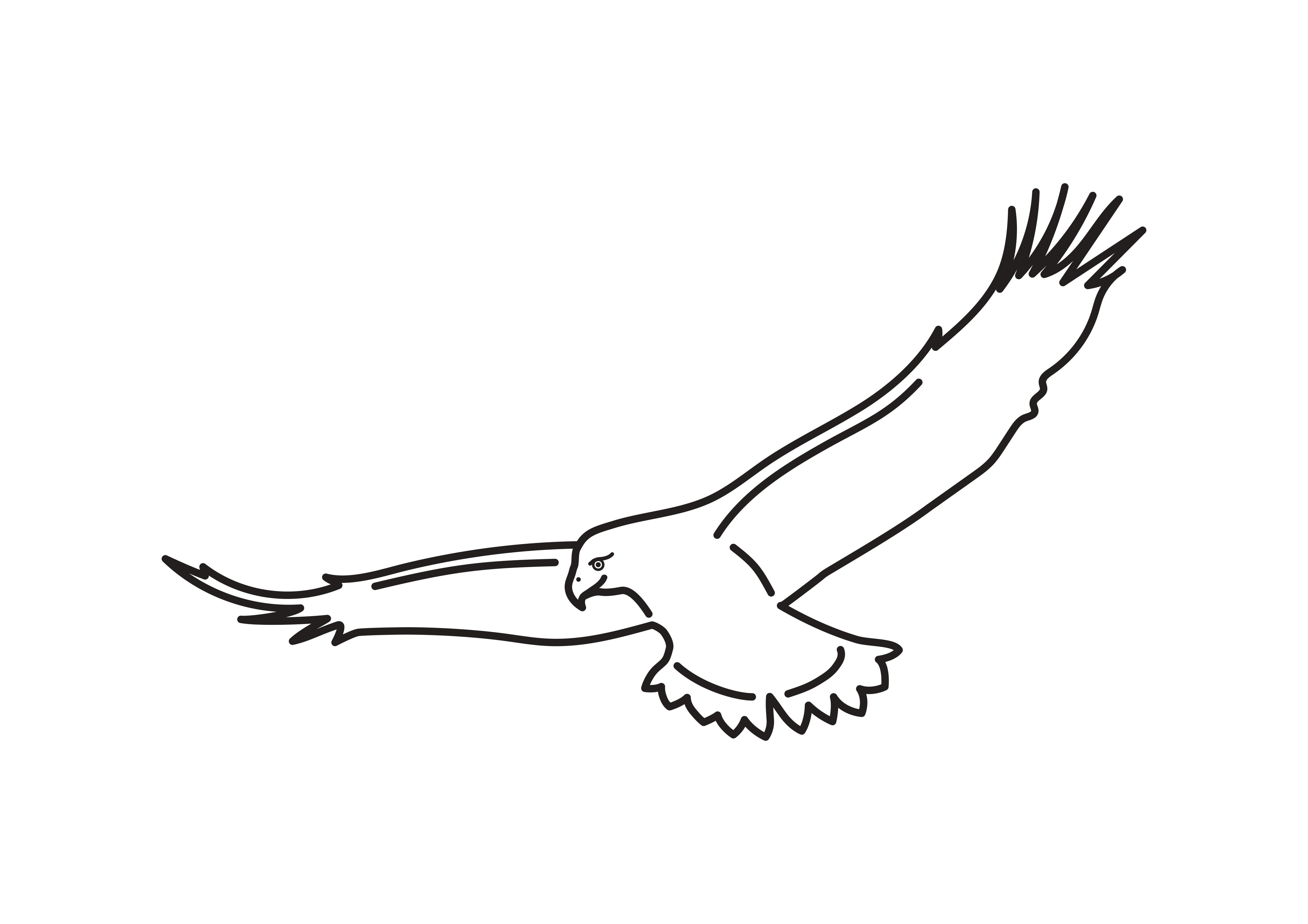 Adler-Apotheke