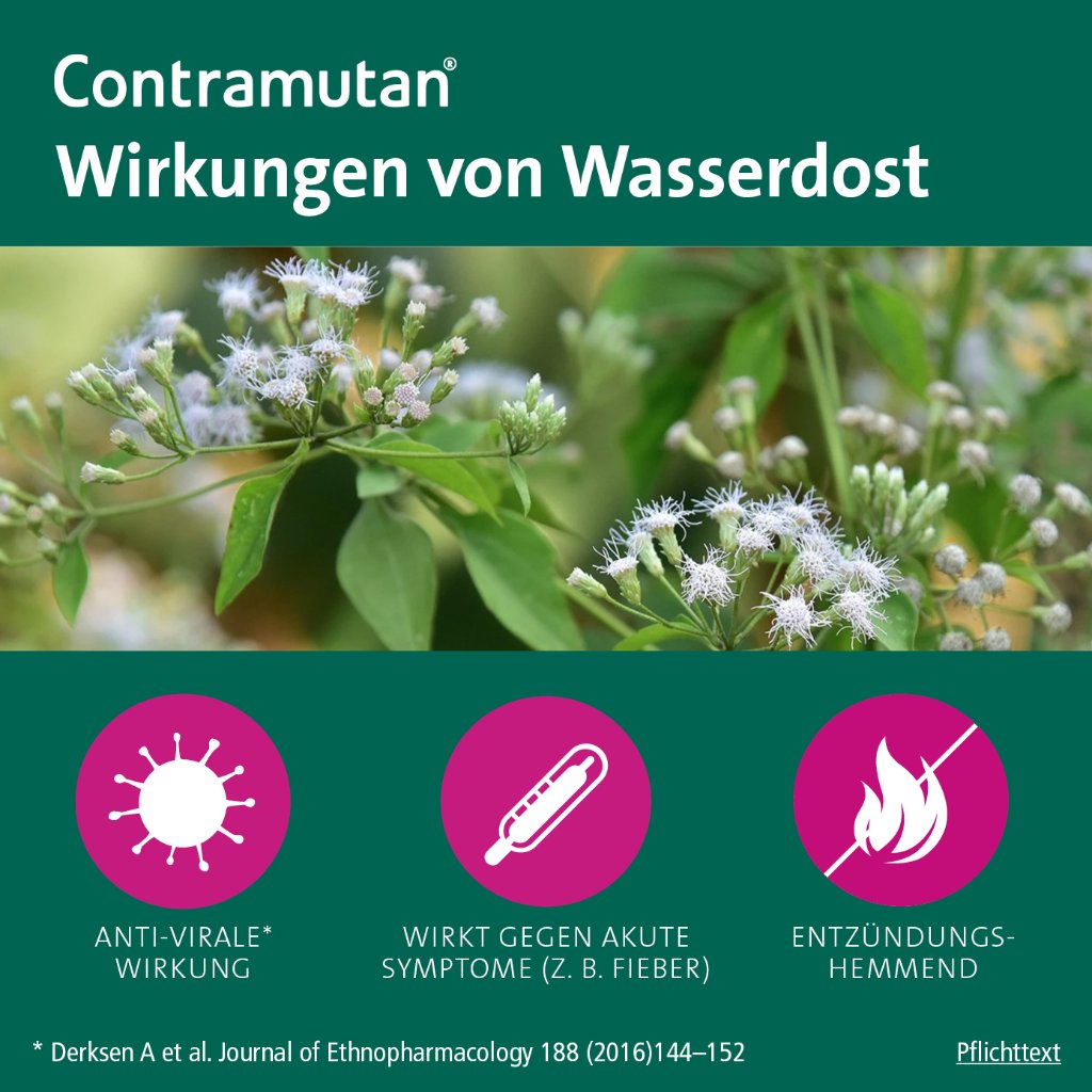 CONTRAMUTAN Tabletten