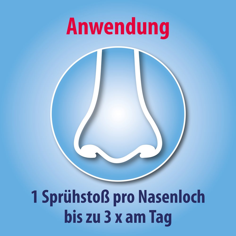 Olynth 0,05% N Schnupfen Dosierspray für Kinder von 2 - 6 Jahren - 10 ml