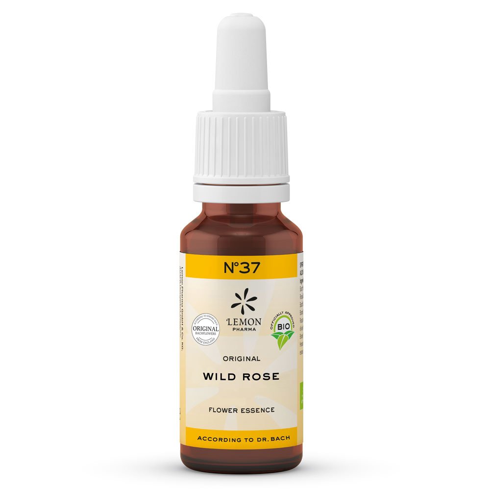 BACHBLÜTEN No.37 Wild Rose Bio