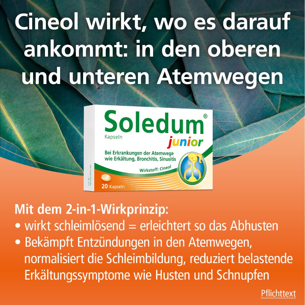 SOLEDUM Kapseln junior 100 mg