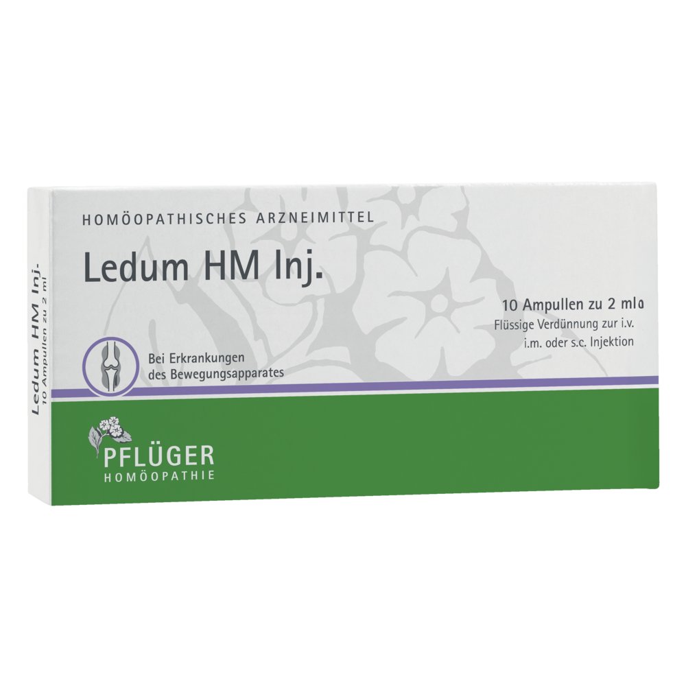 LEDUM HM Injekt Ampullen