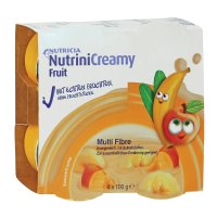 NUTRINI Creamy Fruit Sommerfrüchte