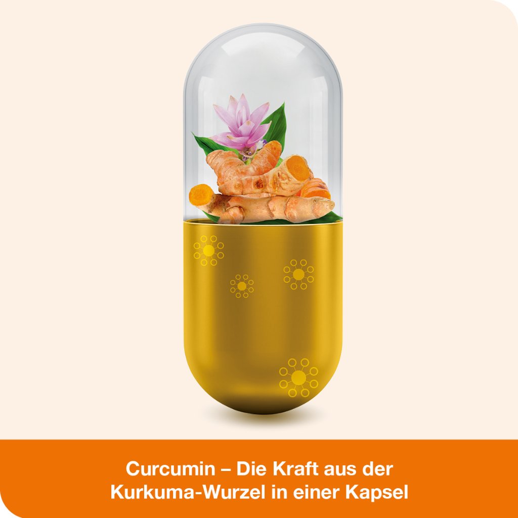 CURCUMIN-LOGES Kapseln