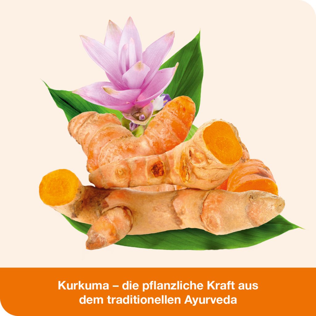 CURCUMIN-LOGES Kapseln