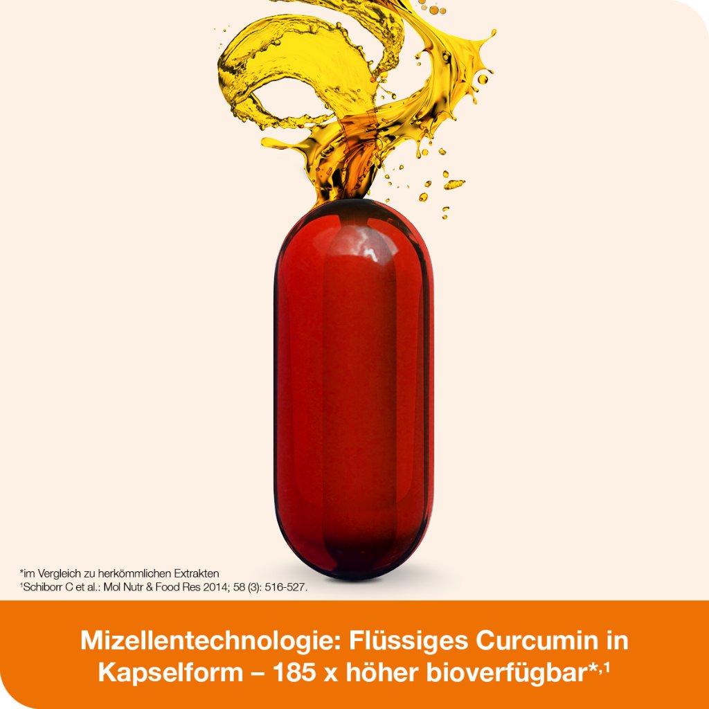 CURCUMIN-LOGES Kapseln