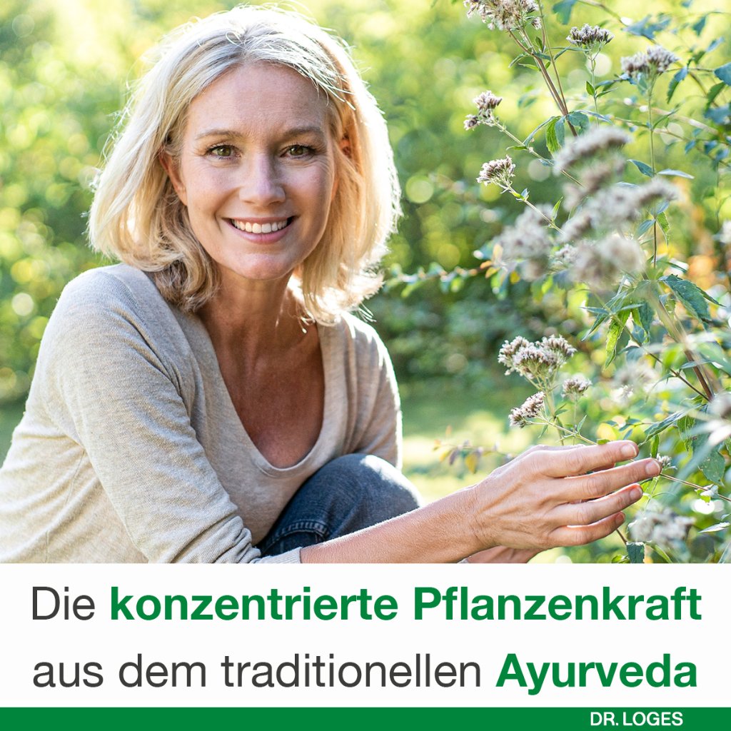 CURCUMIN-LOGES Kapseln