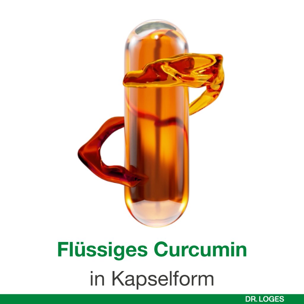 CURCUMIN-LOGES Kapseln