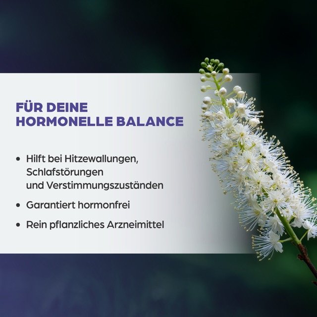 Dr. Böhm® Traubensilberkerze