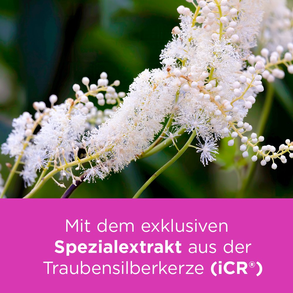 REMIFEMIN mono Tabletten