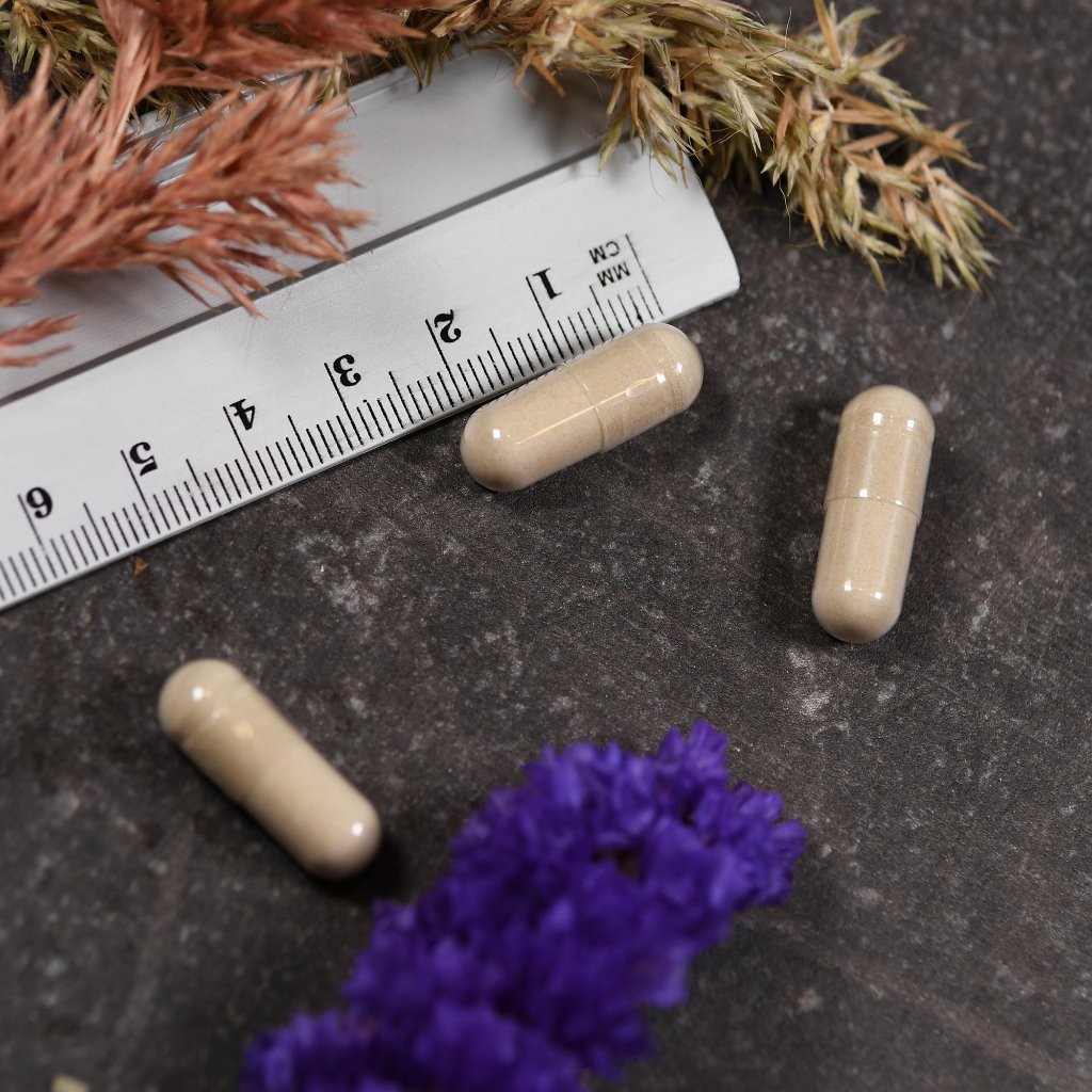 Enzymedica Intolerance Complex