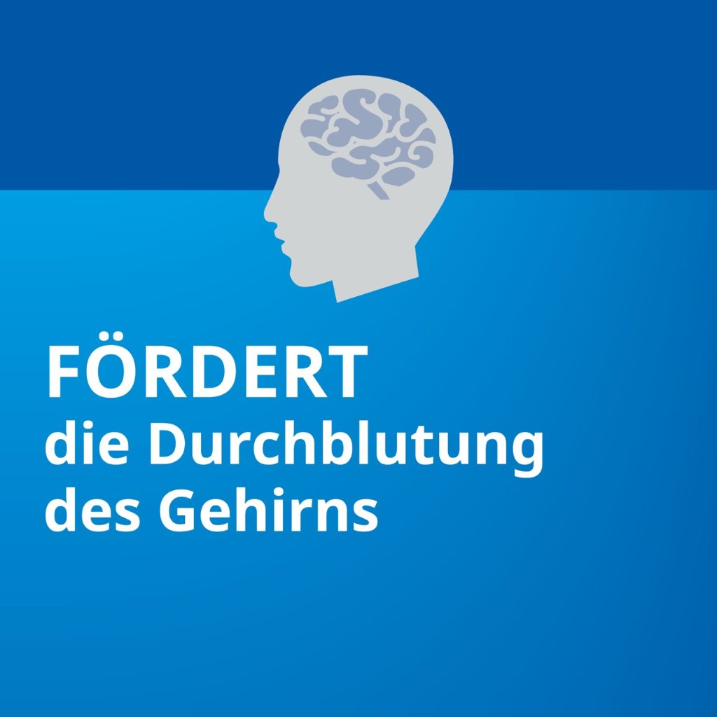 GINKGO STADA 40 mg Filmtabletten