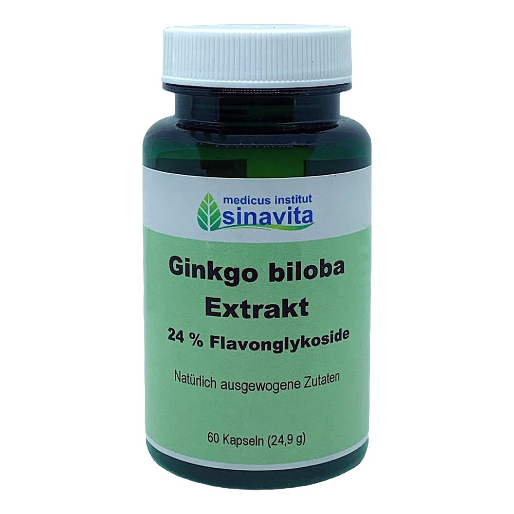 GINKGO BILOBA EXTRAKT 24% Flavonglykoside Kapseln