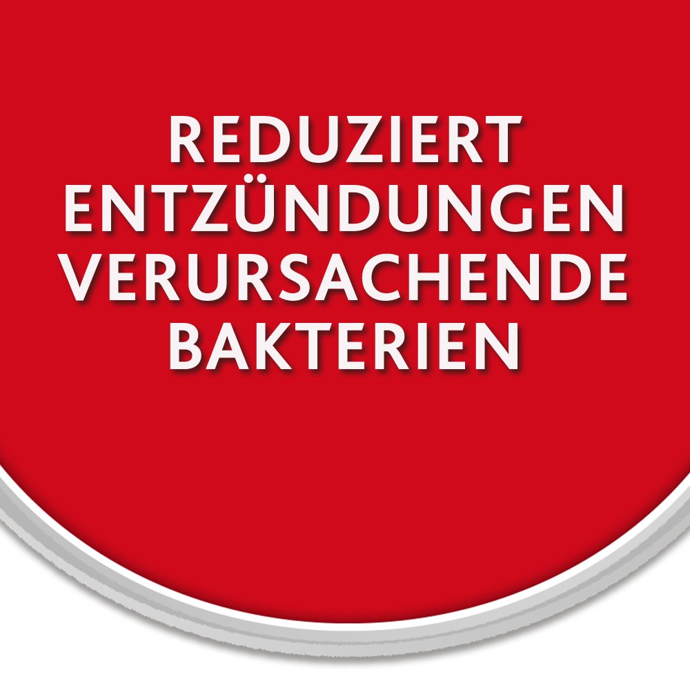 Chlorhexamed FORTE alkoholfrei 0,2 %, Mundspülung, antibakteriell 300 ml