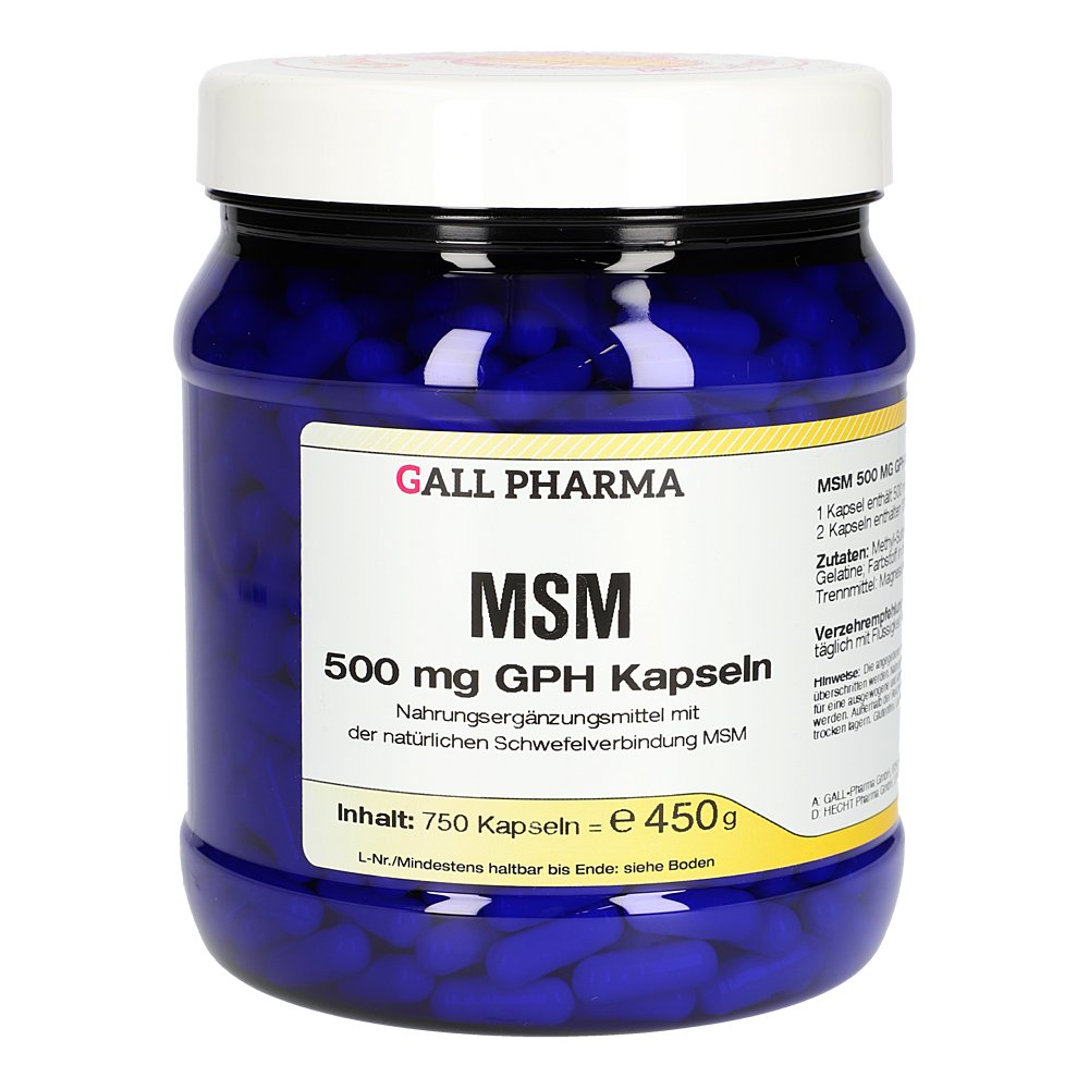 MSM 500 mg GPH Kapseln