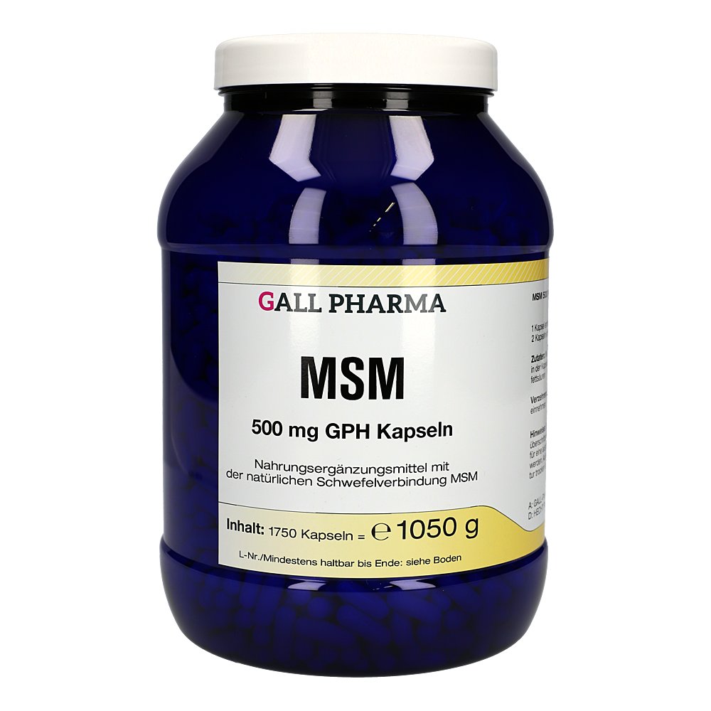 MSM 500 mg GPH Kapseln