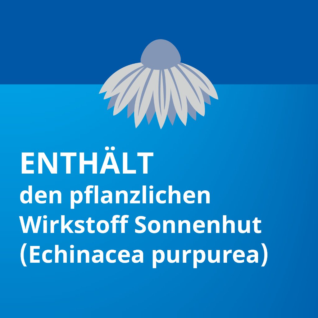 ECHINACEA STADA Classic 80 g/100 g Lsg.z.Einnehmen