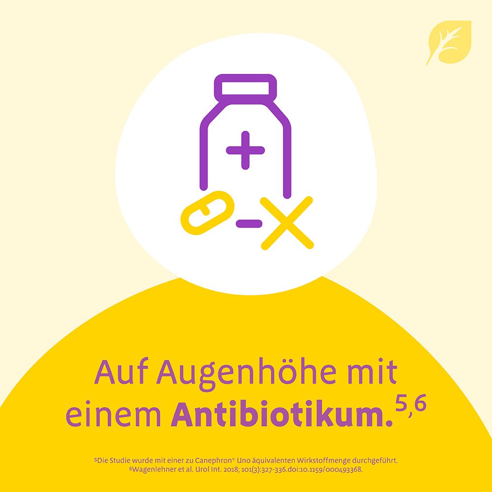 CANEPHRON Uno überzogene Tabletten