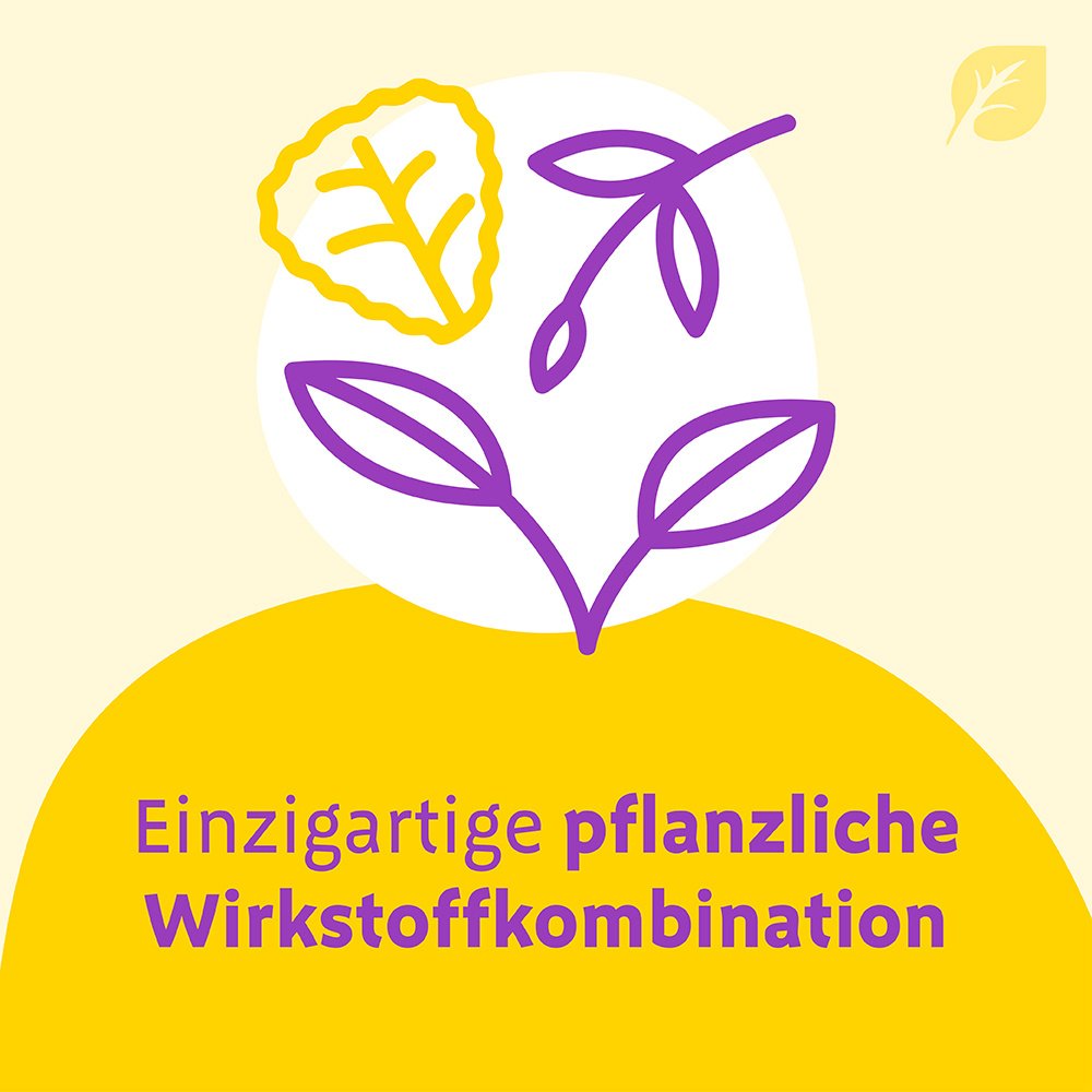 CANEPHRON Uno überzogene Tabletten