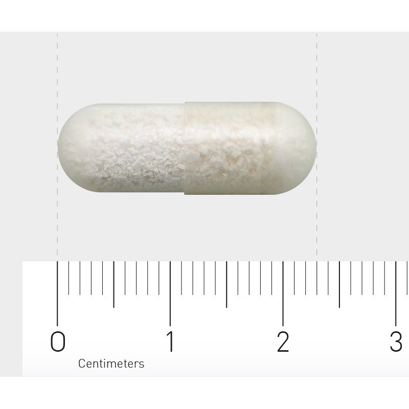 Orthica L-Lysine 500