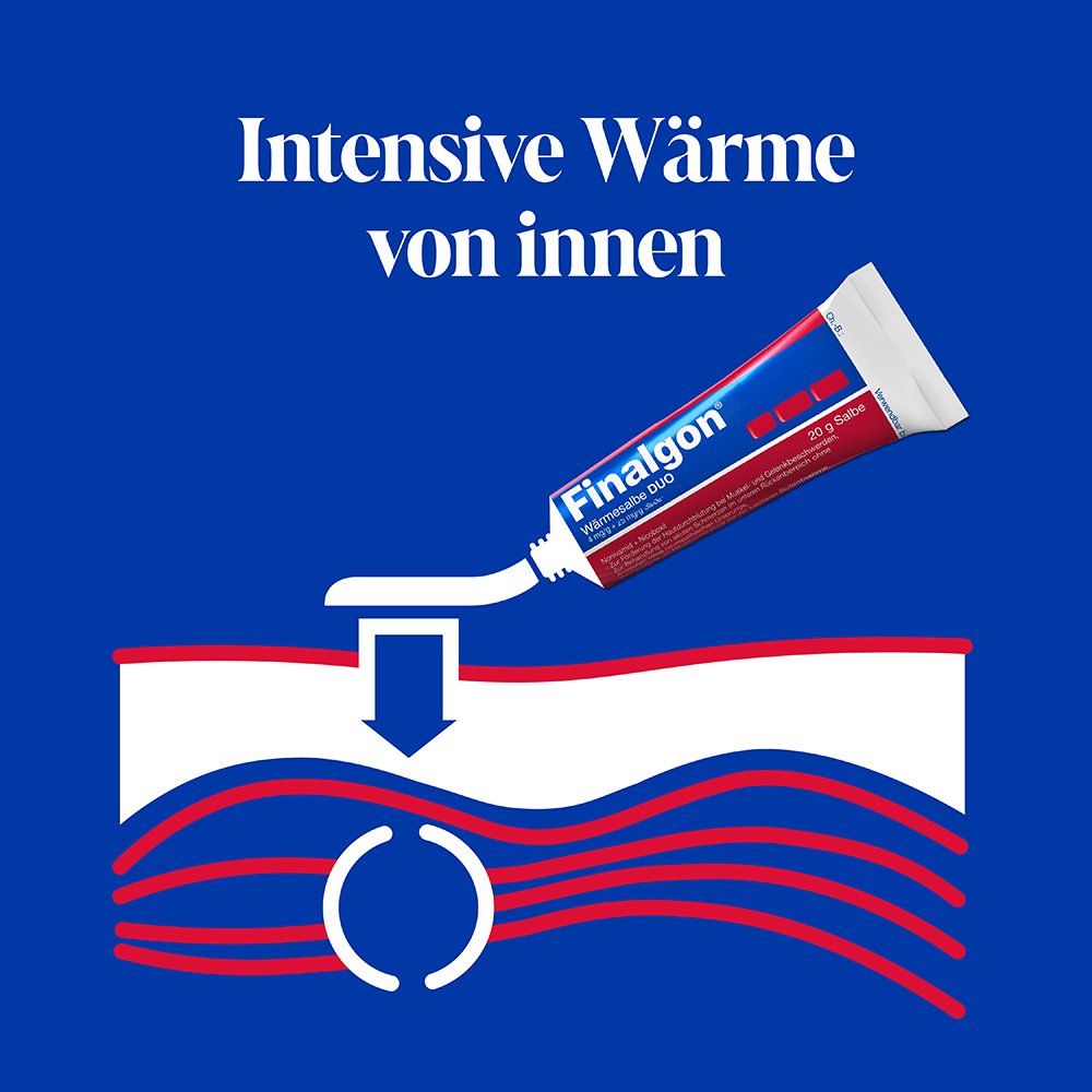 FINALGON Wärmesalbe DUO 4 mg/g + 25 mg/g