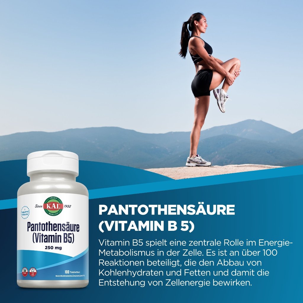 KAL Pantothensäure (Vitamin B 5) 250 mg