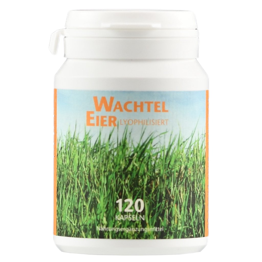 WACHTELEIER LYOPHYLISIERT