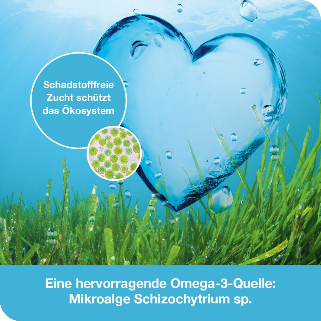 OMEGA3-LOGES pflanzlich Kapseln