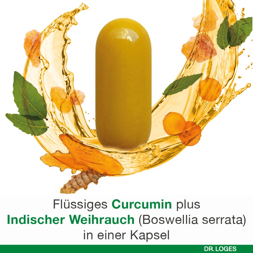 CURCUMIN-LOGES plus Boswellia Kapseln