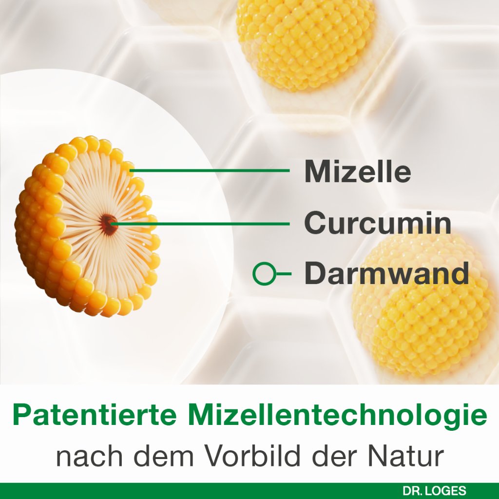 CURCUMIN-LOGES plus Boswellia Kapseln