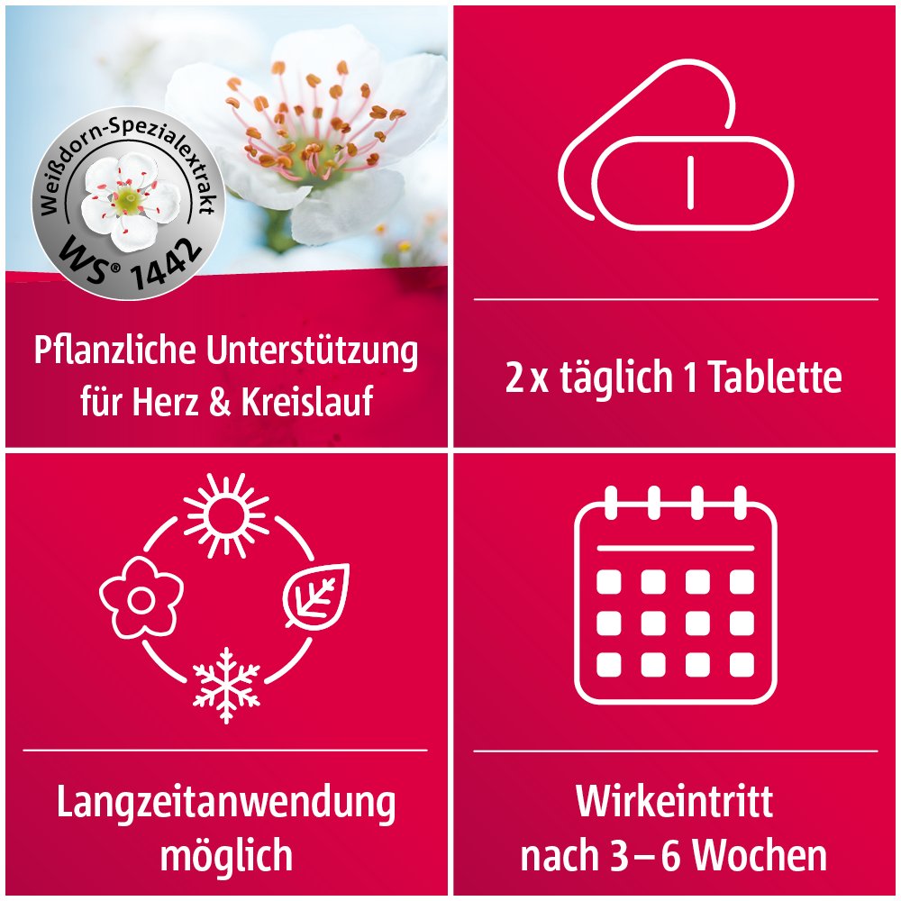Crataegutt® 450 mg Herz-Kreislauf-Tabletten 100 Stück