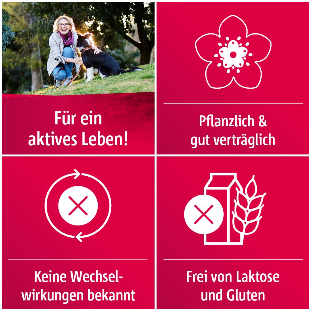 Crataegutt® 450 mg Herz-Kreislauf-Tabletten 200 Stück