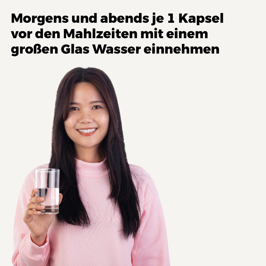 BITTERGURKE 500 mg 10:1 Extrakt Kapseln