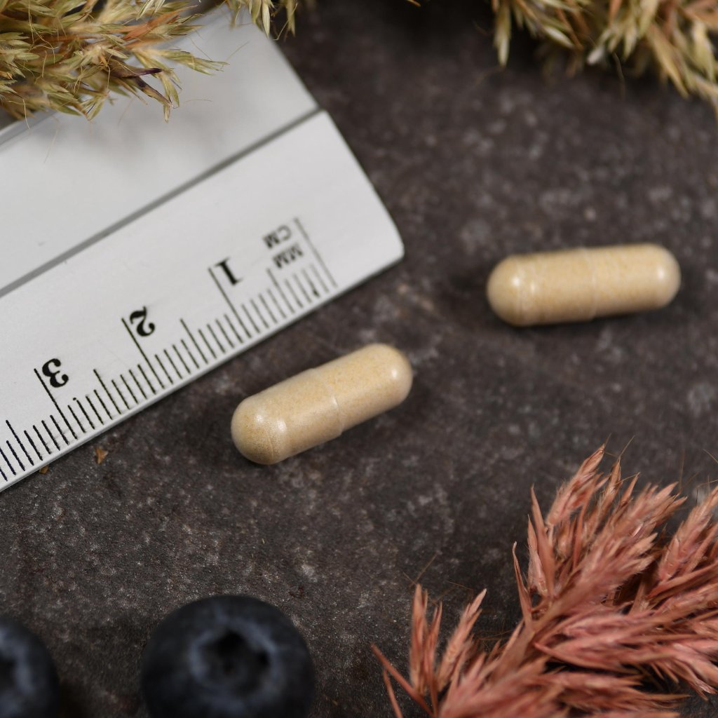 American Biologics Pro Digest