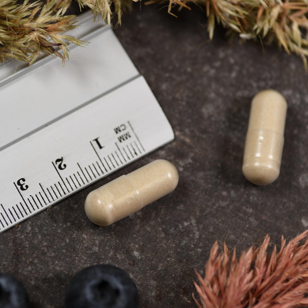 American Biologics Pro Digest Extra