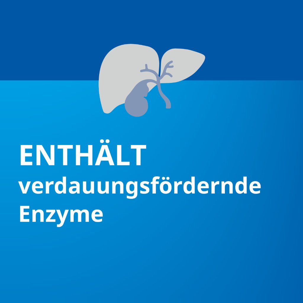 PANKREATIN STADA 20.000 magensaftres.Hartkapseln