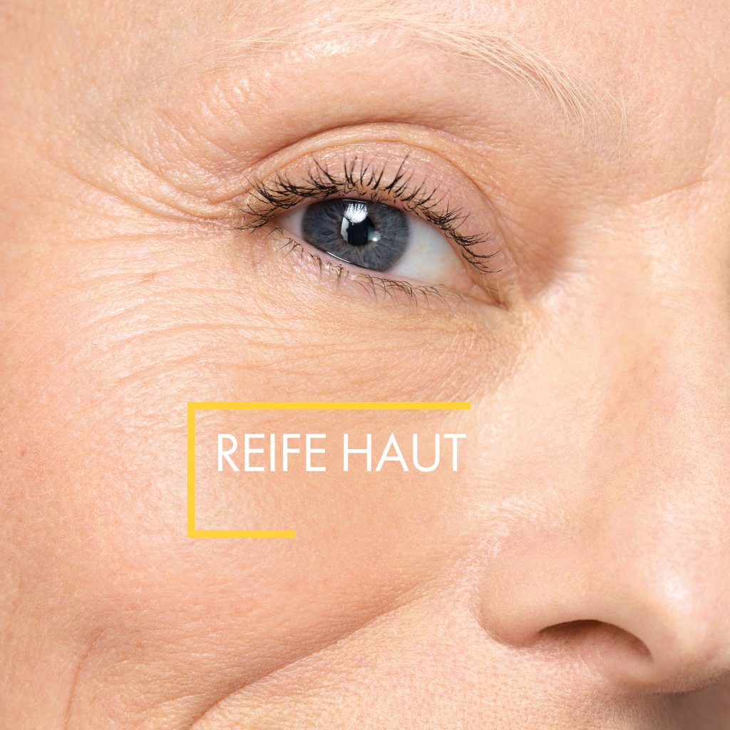 Vichy Neovadiol Phytosculpt