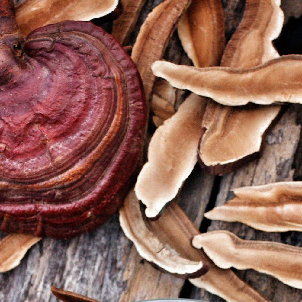 Dr. Jacob's nervenstark mit Rhodiola Ashwaganda Reishi-Pilz