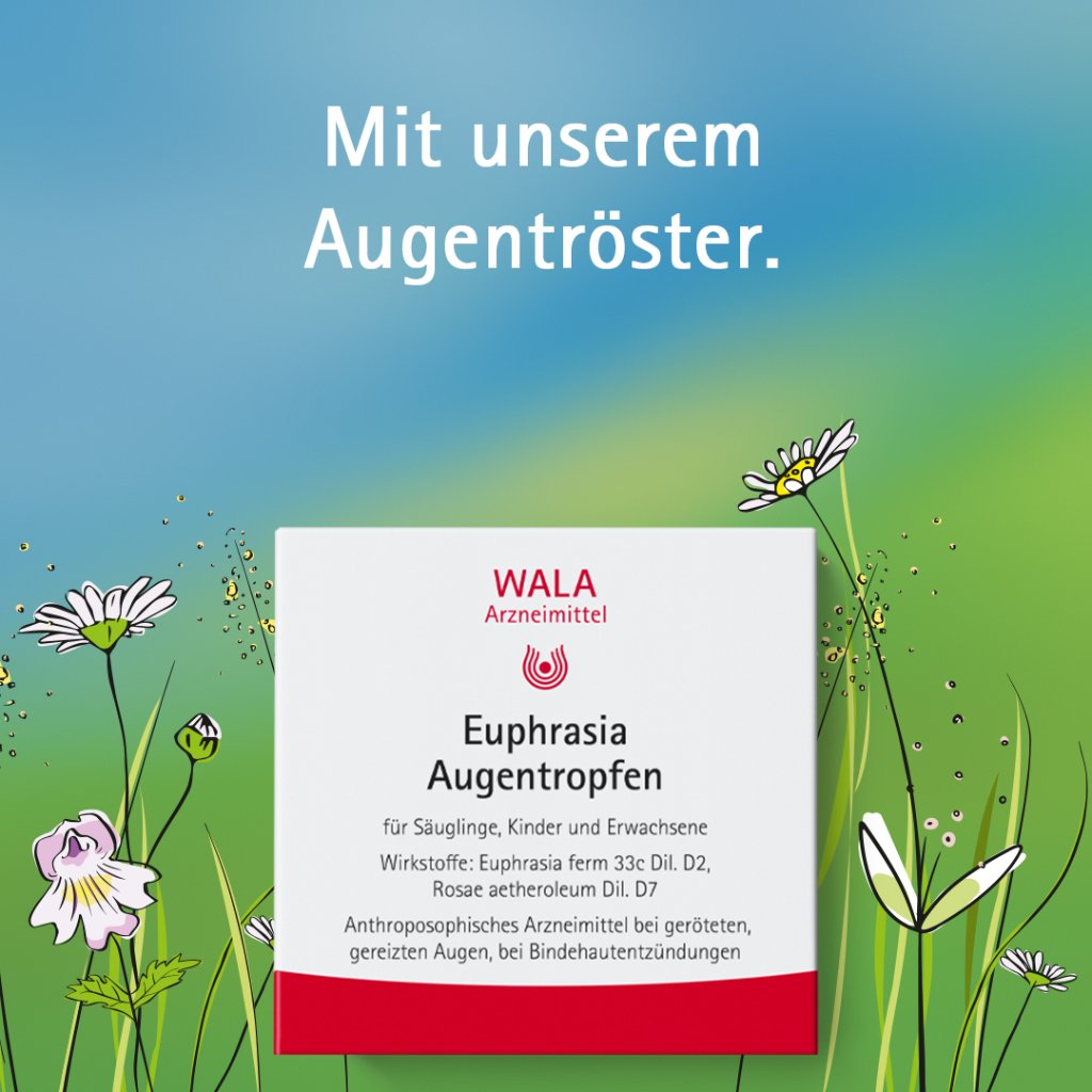 Euphrasia Augentropfen