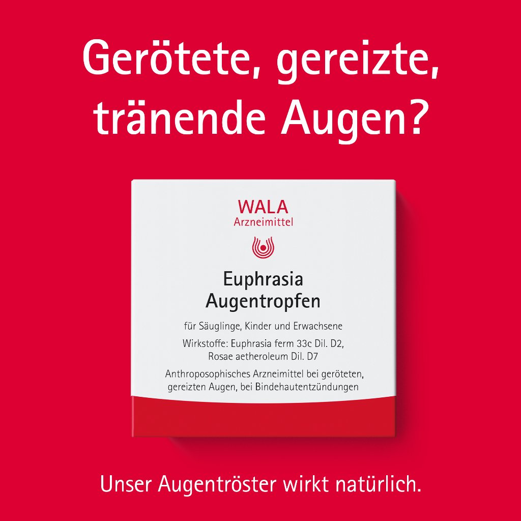 Euphrasia Augentropfen