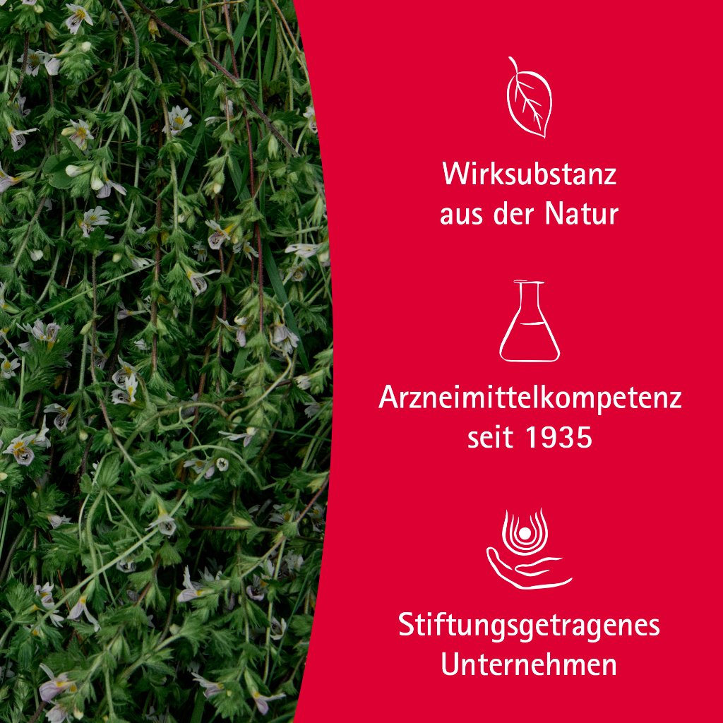 Euphrasia Augentropfen