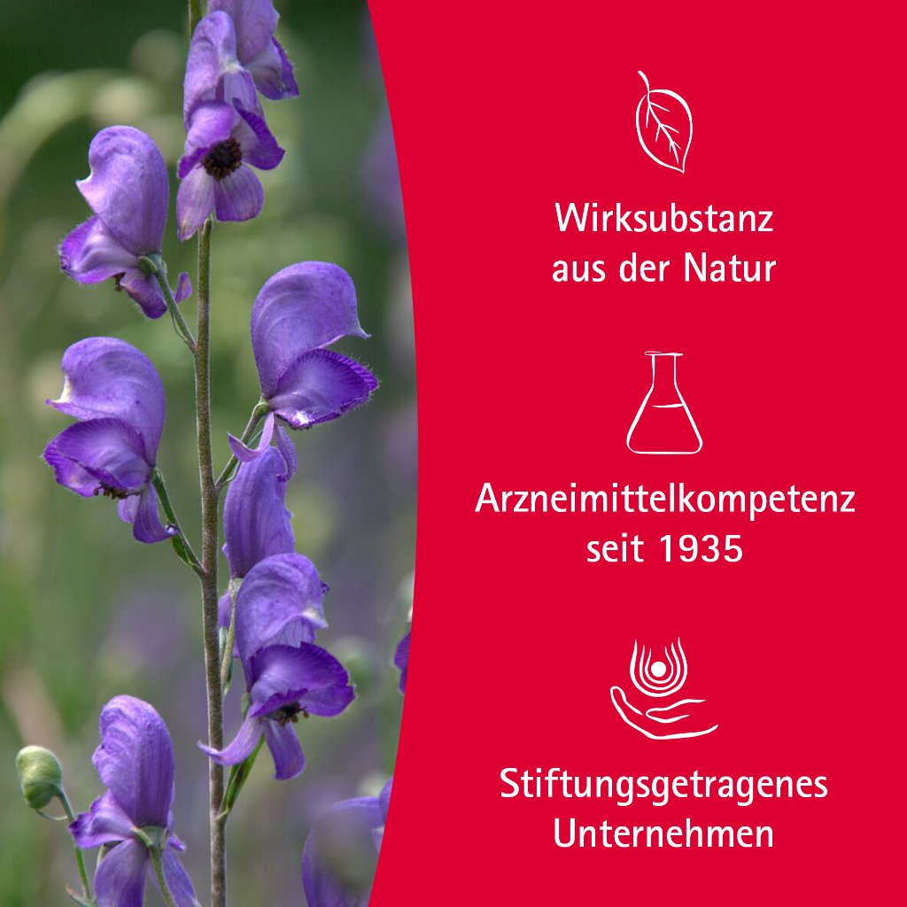 Aconit Schmerzöl