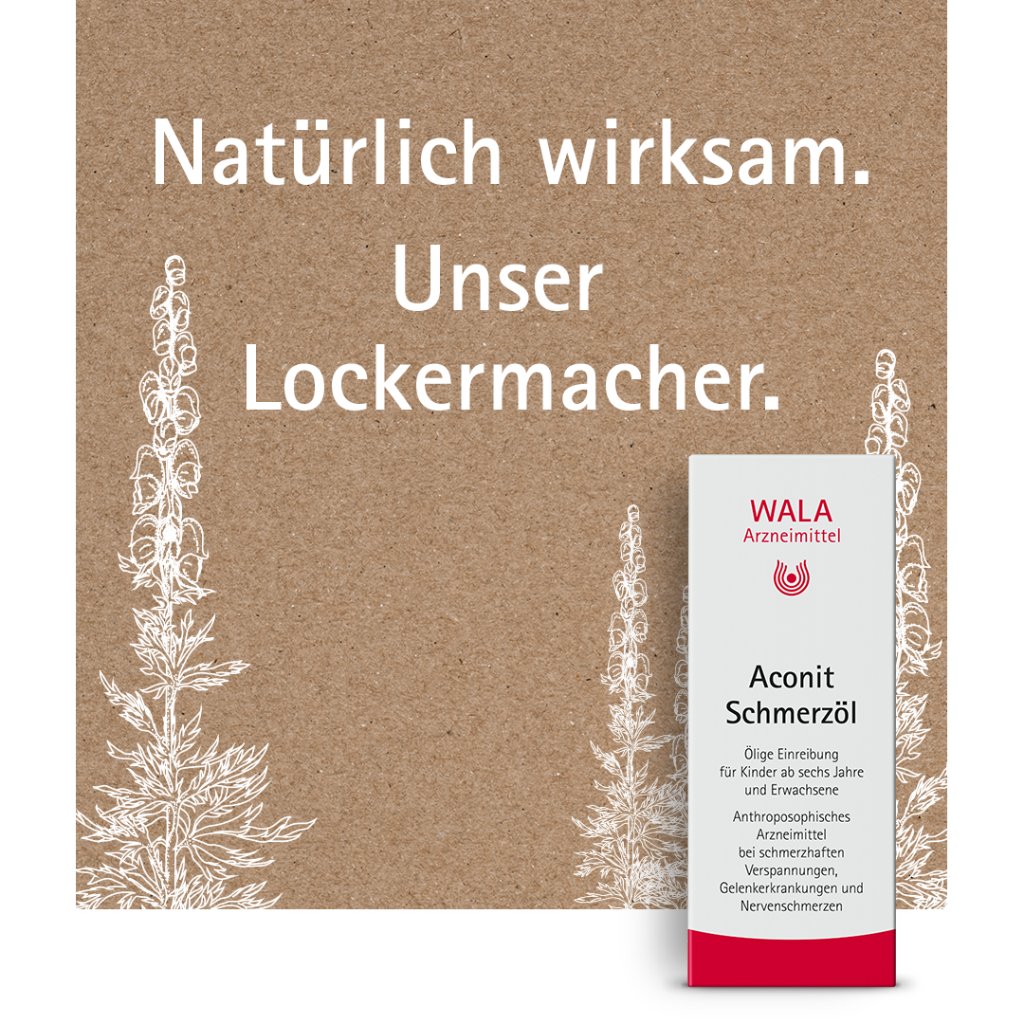 Aconit Schmerzöl