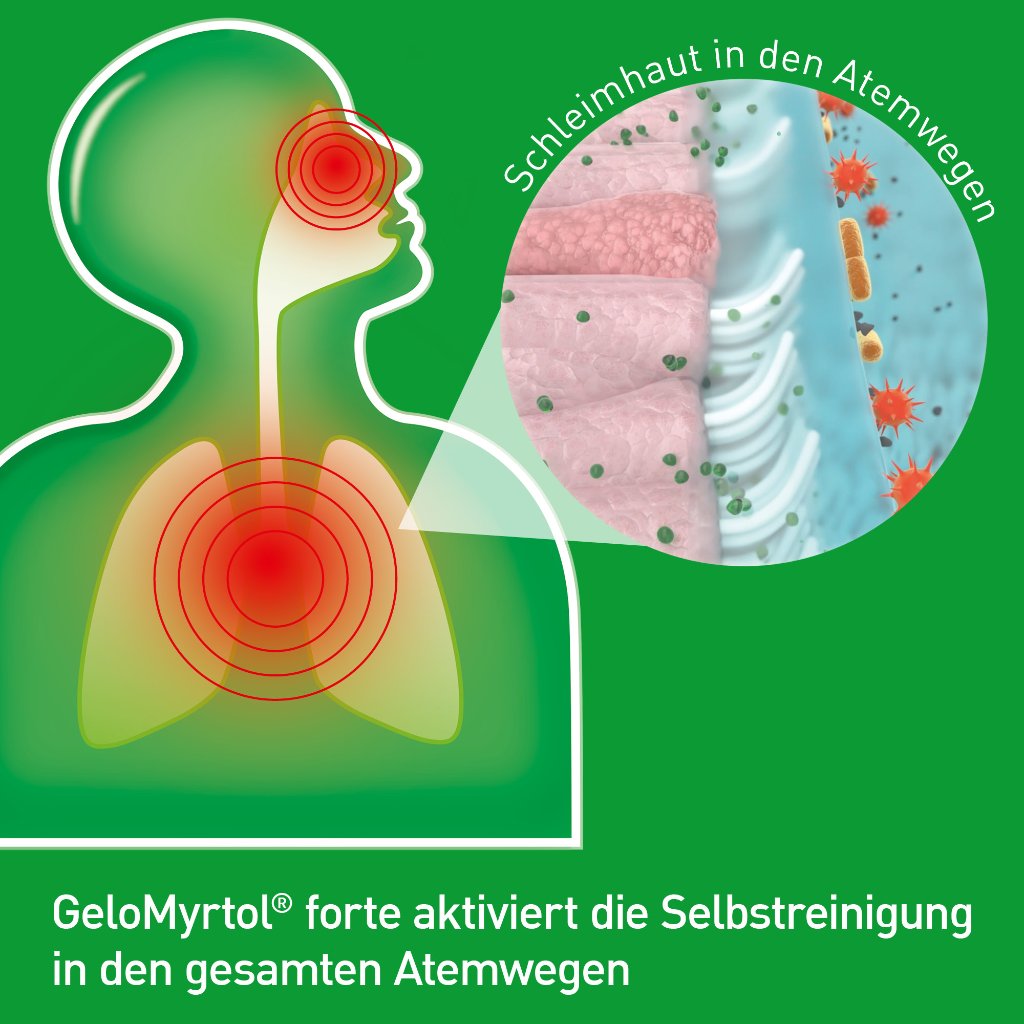GELOMYRTOL forte magensaftresistente Weichkapseln
