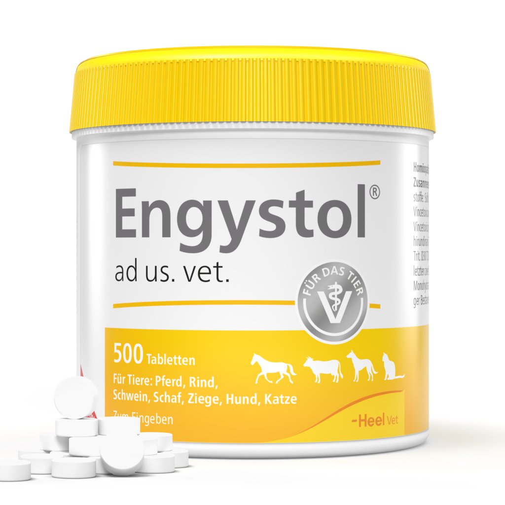 ENGYSTOL ad us.vet.Tabletten