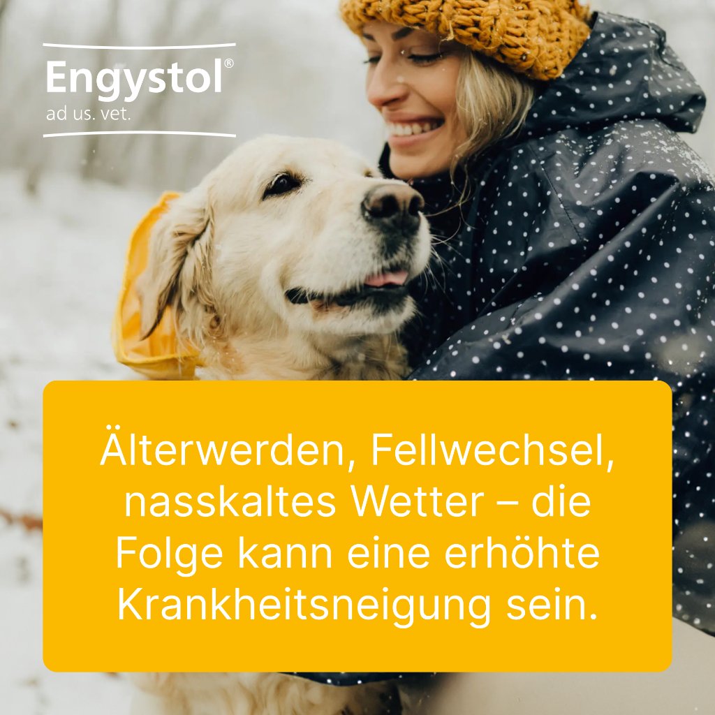 ENGYSTOL ad us.vet.Tabletten