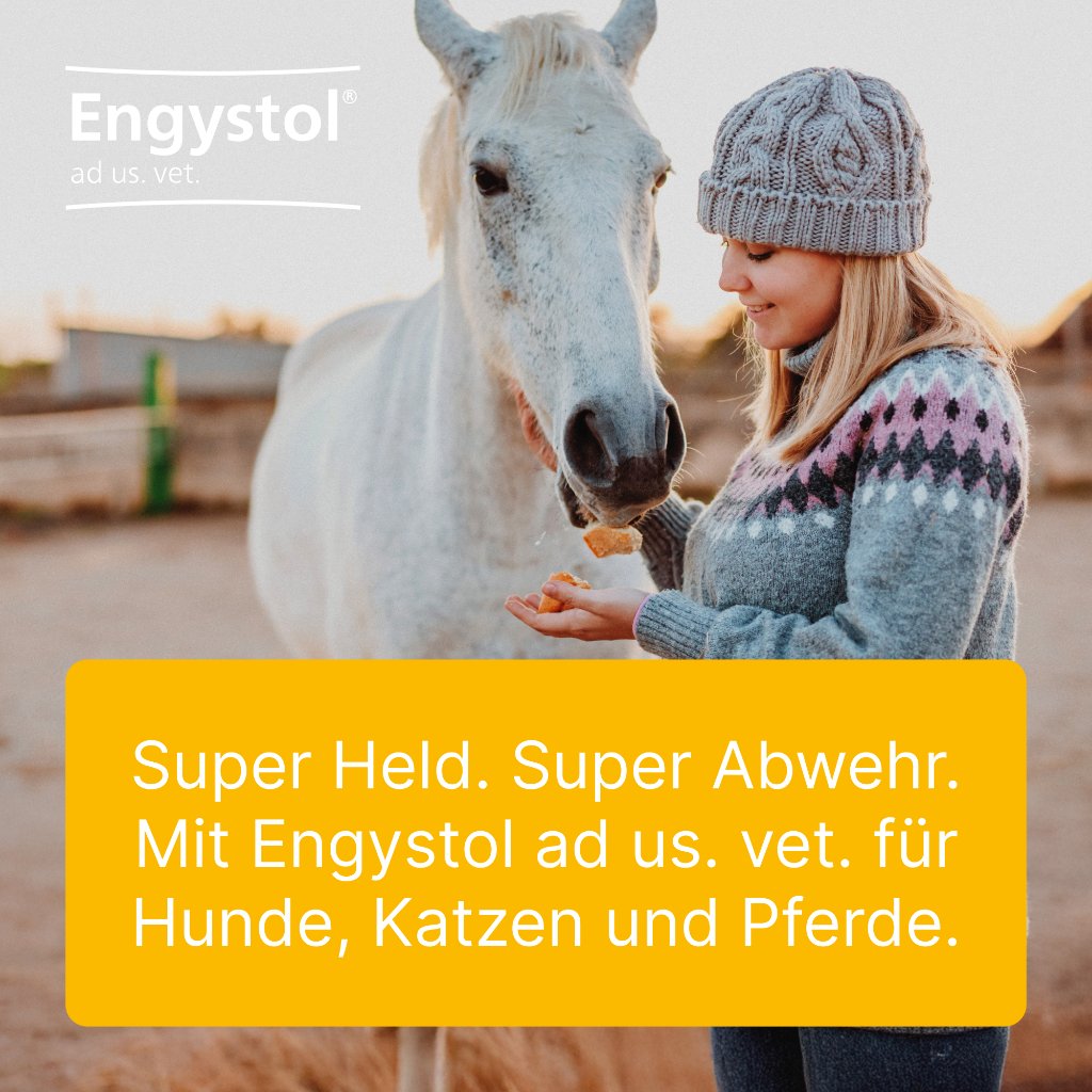 ENGYSTOL ad us.vet.Tabletten