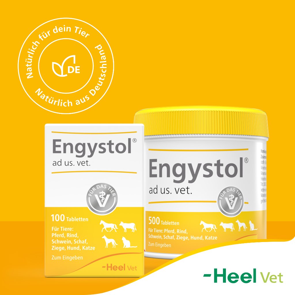 ENGYSTOL ad us.vet.Tabletten