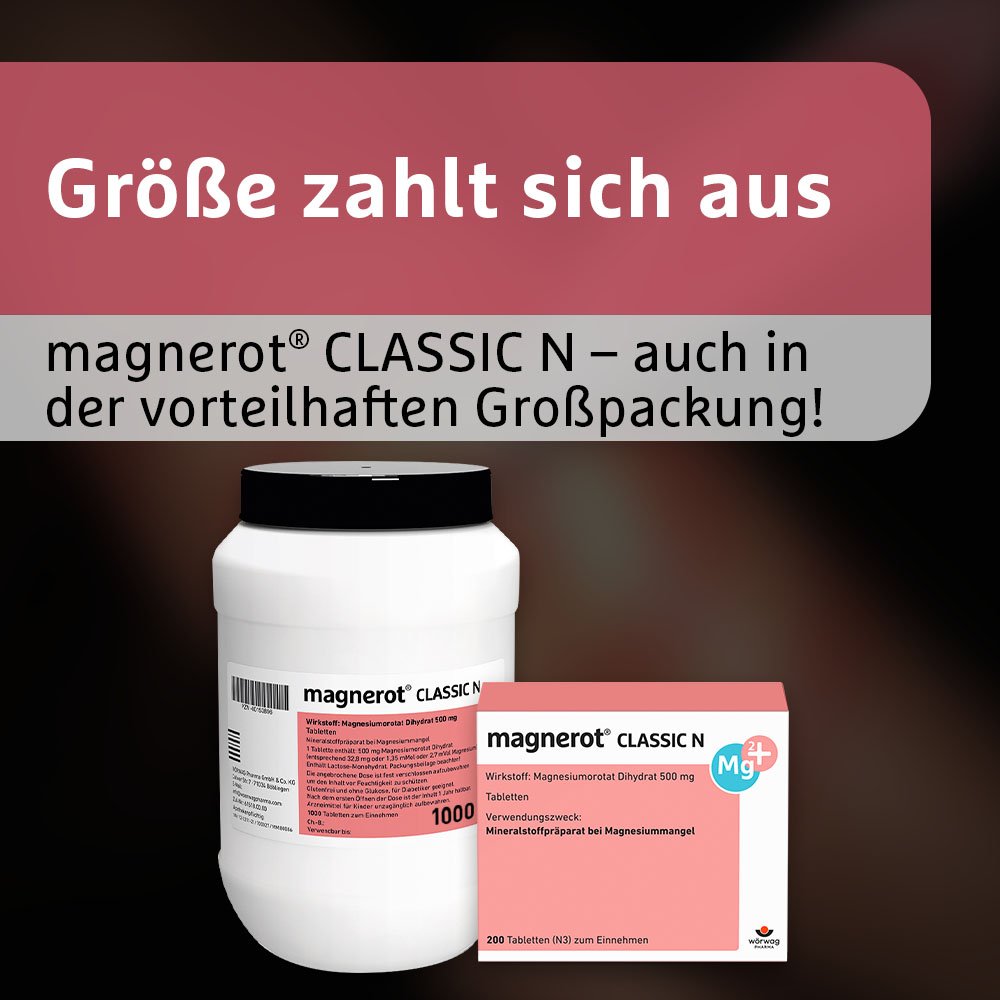 MAGNEROT CLASSIC N Tabletten