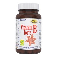 VITAMIN B FORTE Kapseln